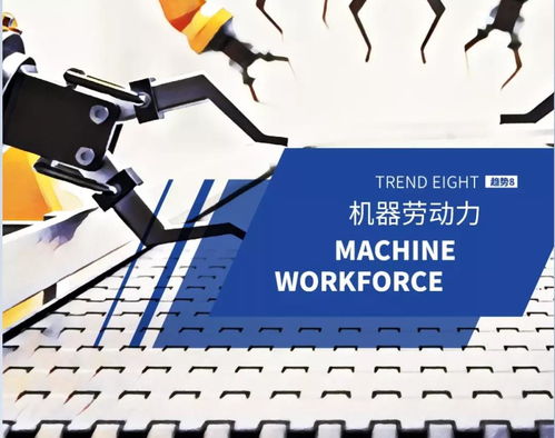 科技賦能，逆襲成為高效解放雙手的信息技術(shù)咨詢顧問(wèn)